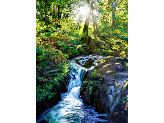 greeting card - Craigflower Creek
