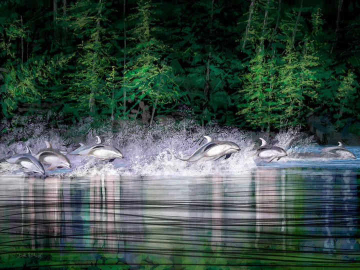 greeting card - Whiteside Dolphins