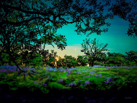 greeting card - Beacon Hill Park Morning