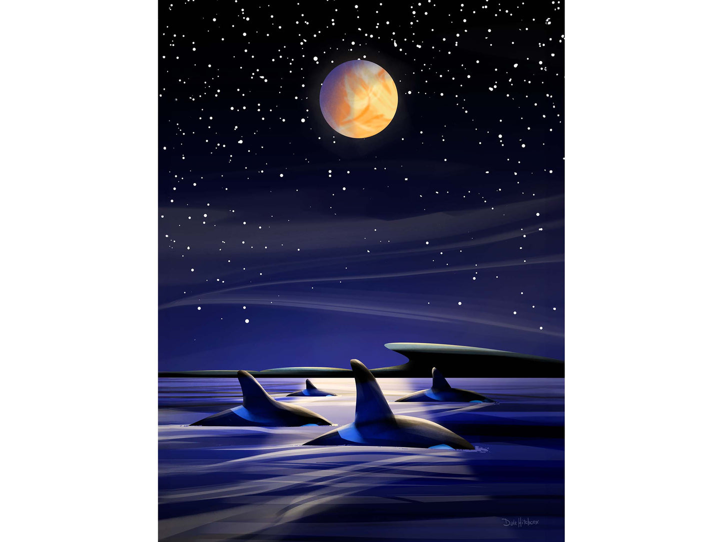 Night Orcas