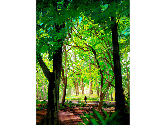 Art print of a person walking a dog among the glorious trees of Beacon Hill Park in Victoria BC