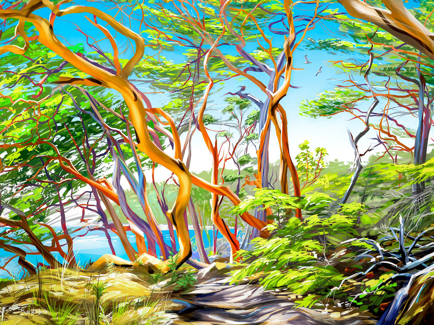 Art print of arbutus trees in a forest along a path near the ocean in Vancouver Island's East Sooke Park in BC