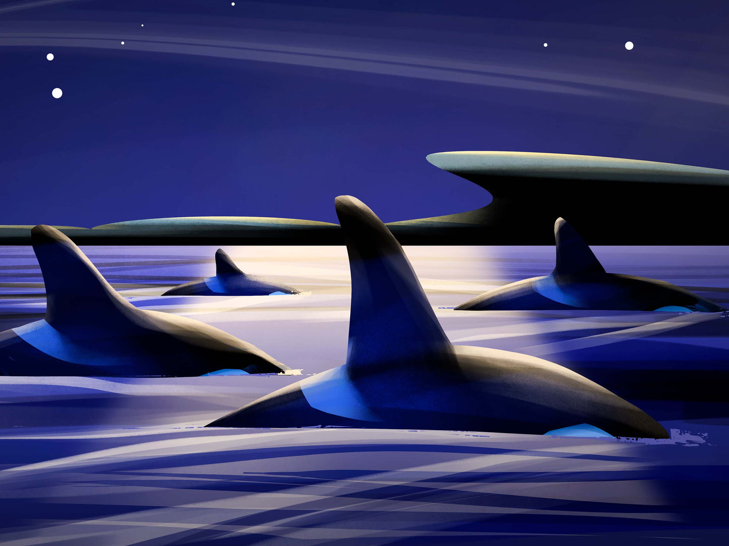 Night Orcas